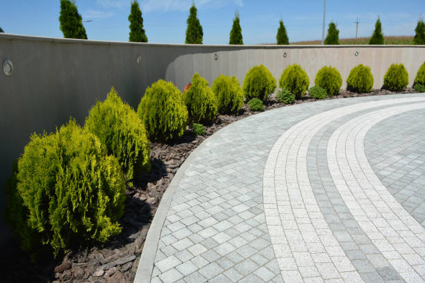 Best Cobblestone Driveway Pavers  in Waggaman, LA